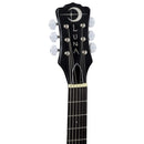 Luna BGB CEL 6 Celtic 6-String Banjo (Tobacco Burst)