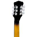 Luna BGB CEL 6 Celtic 6-String Banjo (Tobacco Burst)