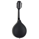 Luna BGM MOON A Moonbird A-Style Acoustic/Electric Mandolin (Black Satin)