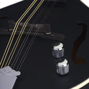 Luna BGM MOON A Moonbird A-Style Acoustic/Electric Mandolin (Black Satin)