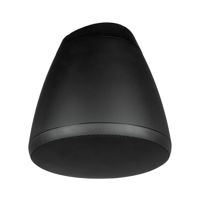 SoundTube RS42-EZ Hanging Speaker - 4" (Black)