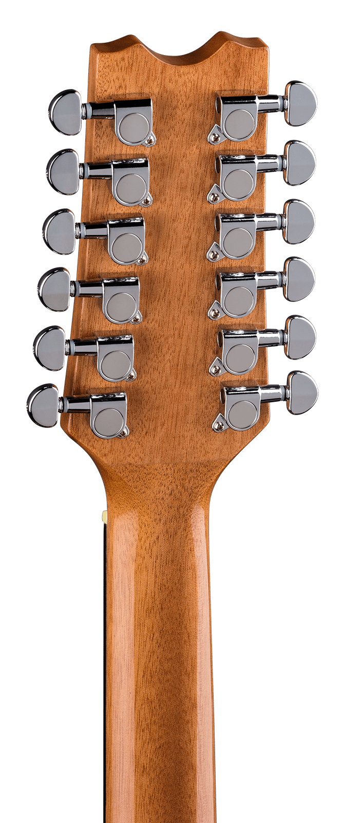 Dean EXOTICA QUILT ASH 12 Strings Acoustic Electric Guitar (Natural)