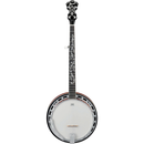 Ibanez B200 Banjo 5 cordes