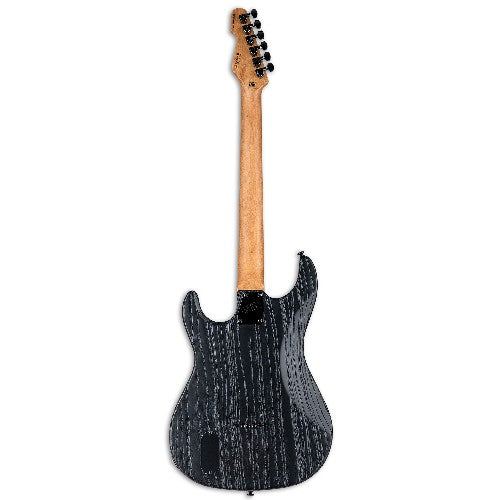 ESP LTD SN-1000HT Electric Guitar (Fire Blast)