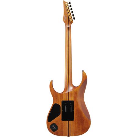 Ibanez RGT1220PBABS RG Series Electric Guitar (Antique Brown Stained)