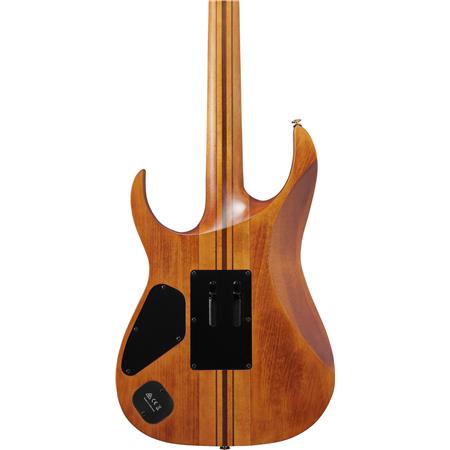 Ibanez RGT1220PBABS RG Series Electric Guitar (Antique Brown Stained)
