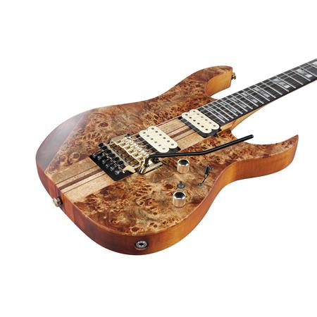 Ibanez RGT1220PBABS RG Series Electric Guitar (Antique Brown Stained)