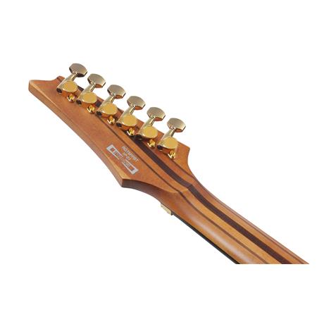 Ibanez RGT1220PBABS RG Series Electric Guitar (Antique Brown Stained)