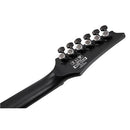 Ibanez RGRTB621BKF RG Iron Label Series Electric Guitar (Black Flat)
