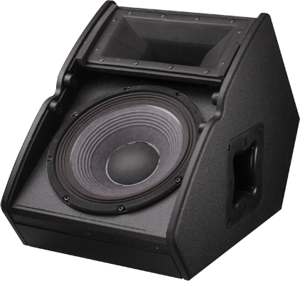 Electro-Voice TX1122FM 2 Way Passive Floor Monitor - 12"