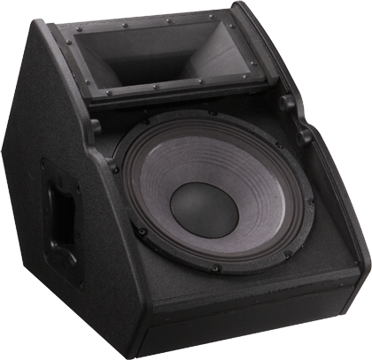 Electro-Voice TX1122FM 2 Way Passive Floor Monitor - 12"