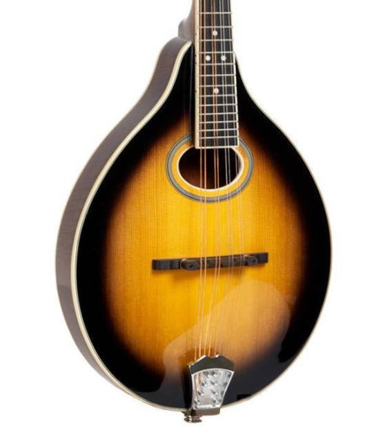 Gold Tone GM-50+ A-Style Mandolin w/Pickup and Gig Bag