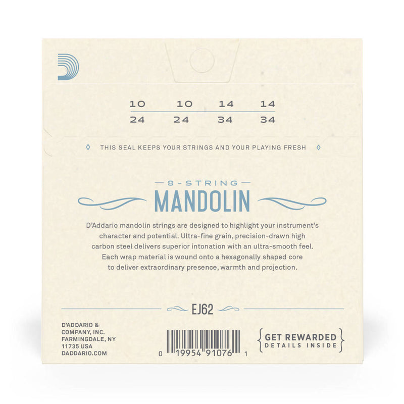 D'Addario EJ62 Mandolin 80/20 Bronze Light 10-34