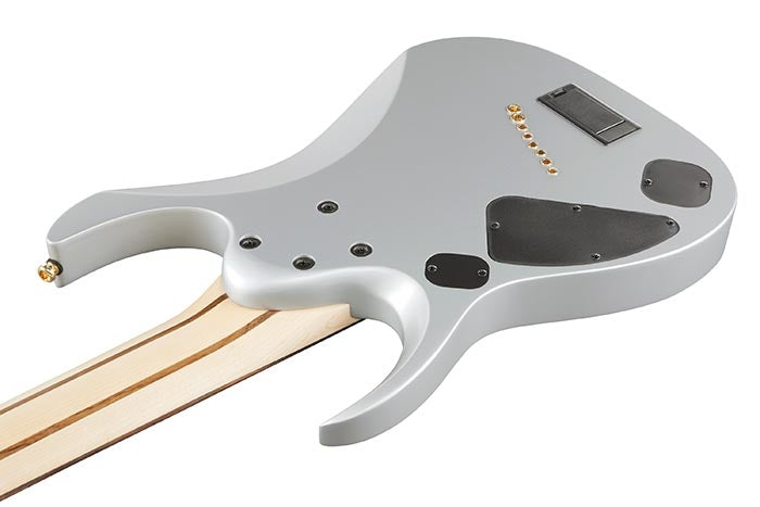 Ibanez RGDMS8CSM Guitare électrique 8 cordes (argenté classique métallisé)