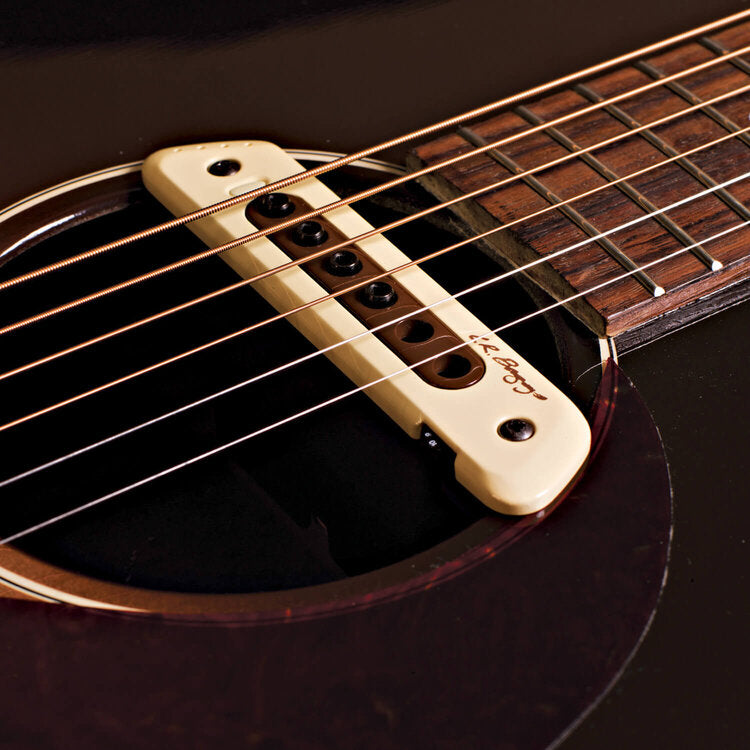 L.R. Baggs Soundhole Magnetic Pickup for Acoustic Guitar