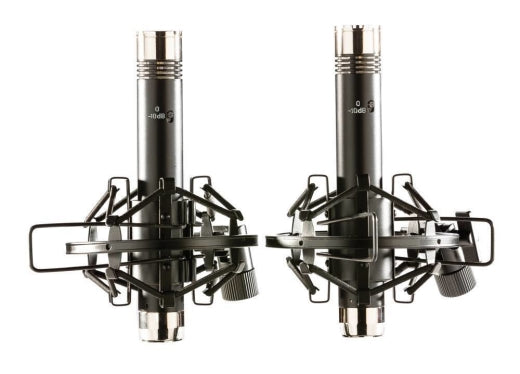 Microphones crayon assortis Apex 485B - Noir/Chrome