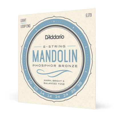 D'Addario EJ73 Mandoline Phosphor Bronze Light 10-38