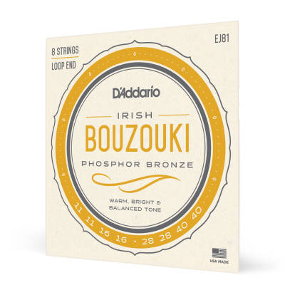 D'Addario EJ81 Bouzouki irlandais Bouzouki