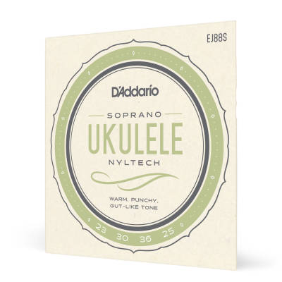 D'Addario EJ88S