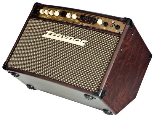 Traynor AMSTUDIO 2-Channel Compact Stereo 65W Acoustic Guitar Amp