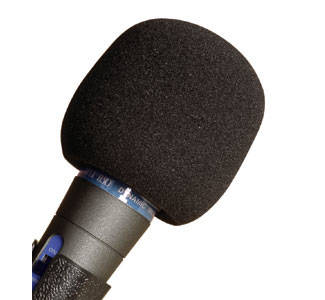 Standz Foam Windsock in Black - Red One Music
