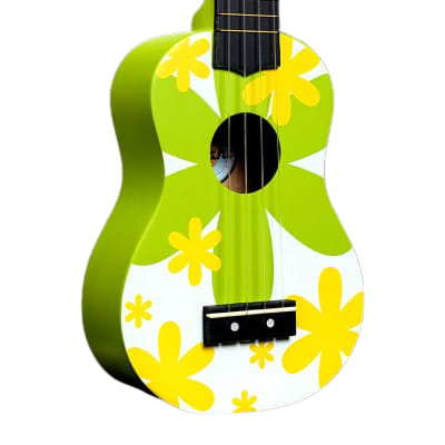 Amahi DDUK6 Soprano Ukulele (Tropical Green Flower)