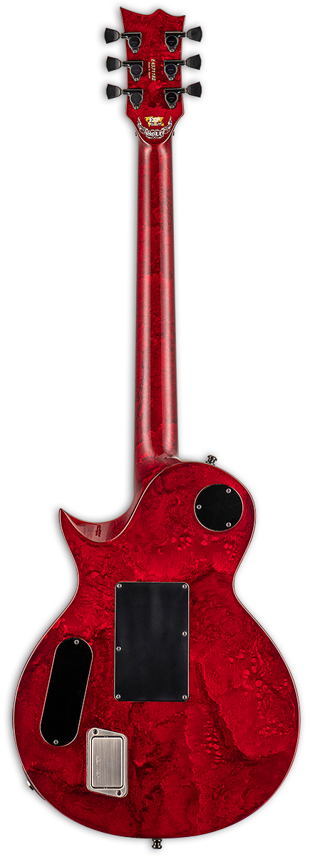 Guitare électrique ESP GARY HOLT (lave métal liquide)