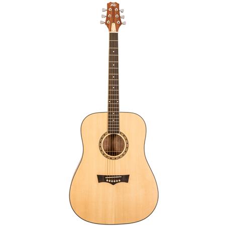 Peavey DELTA-WOODS DW-1 Dreadnaught Acoustic Guitar w/ Bag