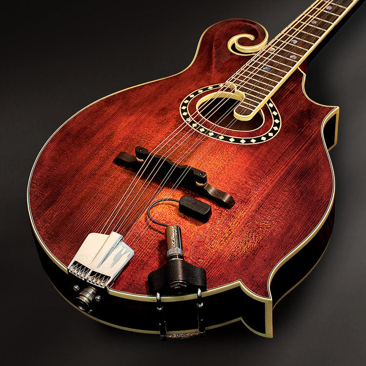 L.R. Baggs Radius Mandolin Pickup