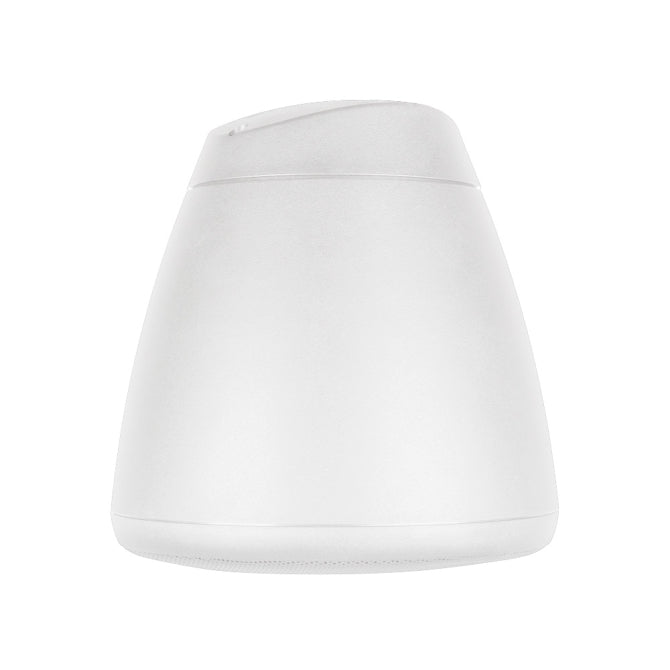 SoundTube RS62-EZ Hanging Speaker - 6.5" (White)