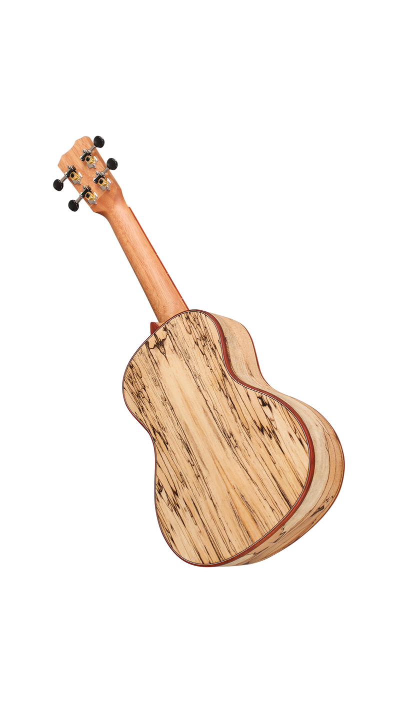 Cordoba 24C Spruce Concert Ukulele (Natural Finish)